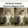 Аватара пользователя