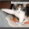 Аватара пользователя